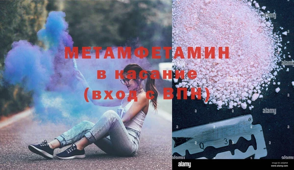 шишки Анива