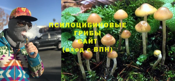 стафф Навашино