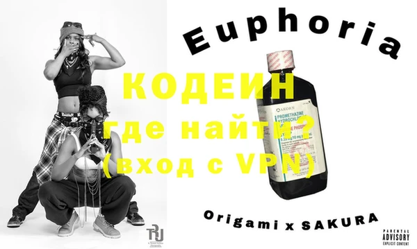 шишки Анива