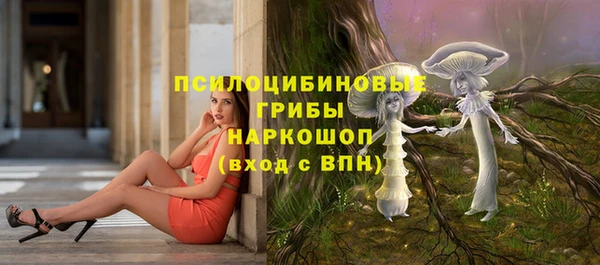 бошки Апатиты
