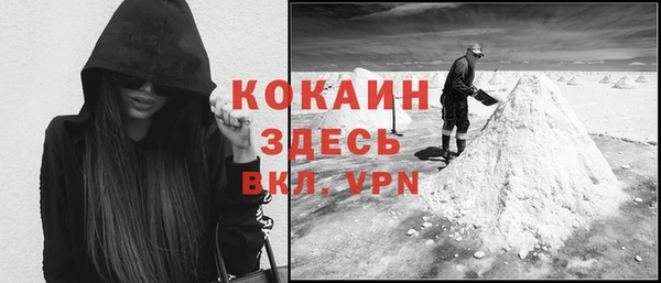 шишки Анива